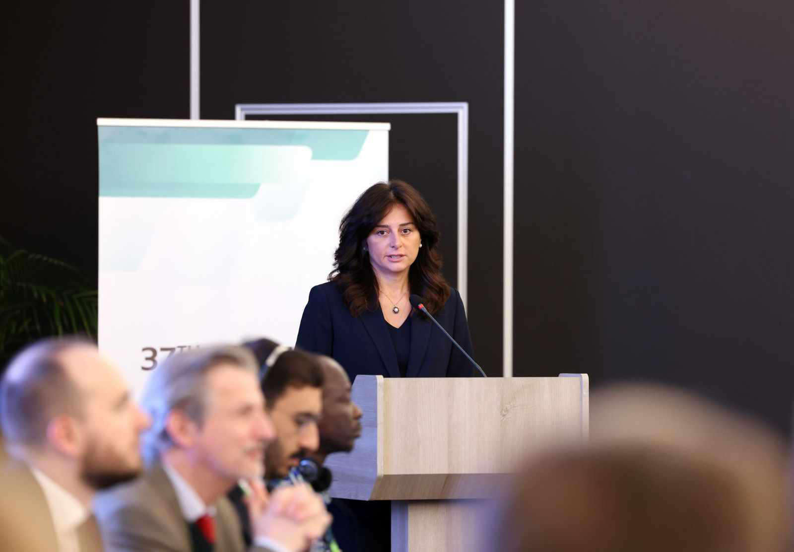 მაია ბითაძე კლიმატის ცვლილების გლობალურ საკითხებზე გამართულ ღონისძიებაზე სიტყვით გამოვიდა