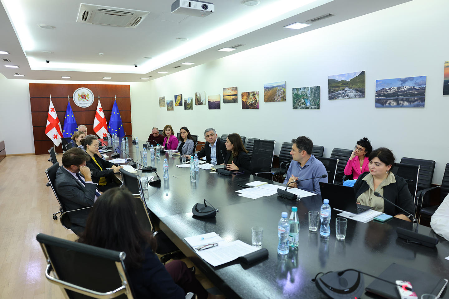 ნინო თანდილაშვილი ევროკავშირის დელეგაციის წევრებს შეხვდა