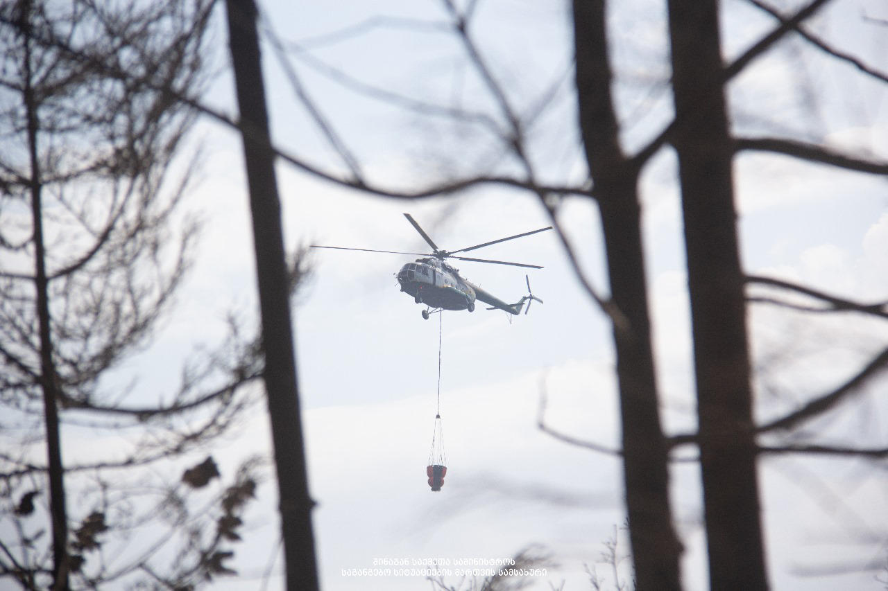 ჩხოროწყუს  მუნიციპალიტეტში, მთის ფერდობზე არსებულ ტყის მასივში გაჩენილი ხანძარი ლიკვიდირებულია