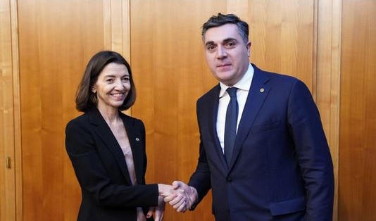 ევროპულ საქმეთა სახელმწიფო მდივანი, ლორანს ბოონი ილია დარჩიაშვილს შეხვდა