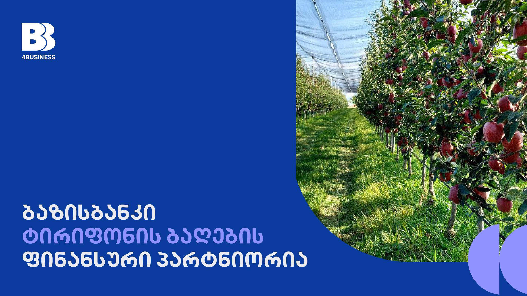ბაზისბანკი ტირიფონის ბაღების ფინანსური პარტნიორია