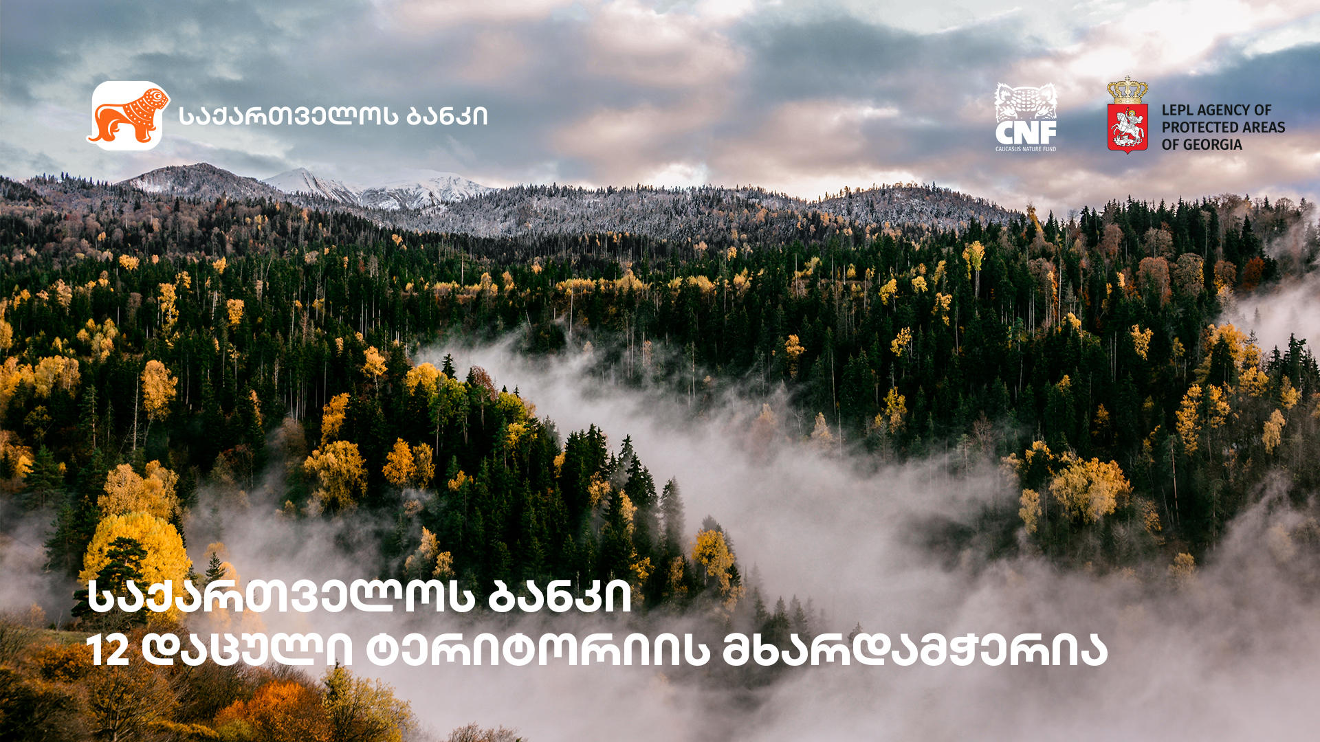 „საქართველოს ბანკის“ მხარდაჭერით, საქართველოში დაცული ტერიტორიების პირველი საერთაშორისო სამიტი იმართება