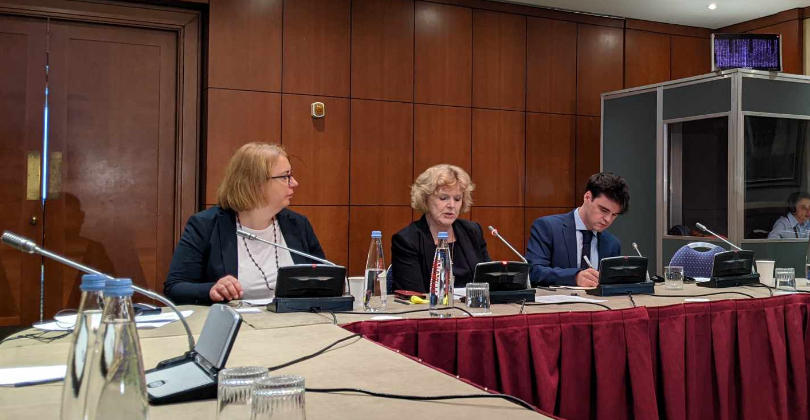 გაერო-ს სპეციალური მომხსენებლის განცხადებით, „შეკრებებისა და მანიფესტაციების შესახებ“ კანონში შეტანილი ცვლილებები მშვიდობიანი პროტესტის უფლების შეზღუდვას ისახავს მიზნად და ხელისუფლებას მოუწოდებს, აღნიშნული კანონი უკან გაიხმოს