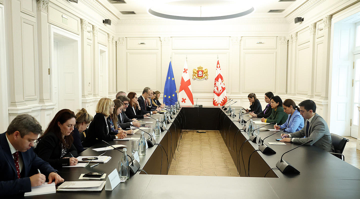 პრეზიდენტი აღმოსავლეთ პარტნიორობის საკითხებში ევროკავშირისა და წევრი ქვეყნების სპეციალურ წარმომადგენლებს შეხვდა