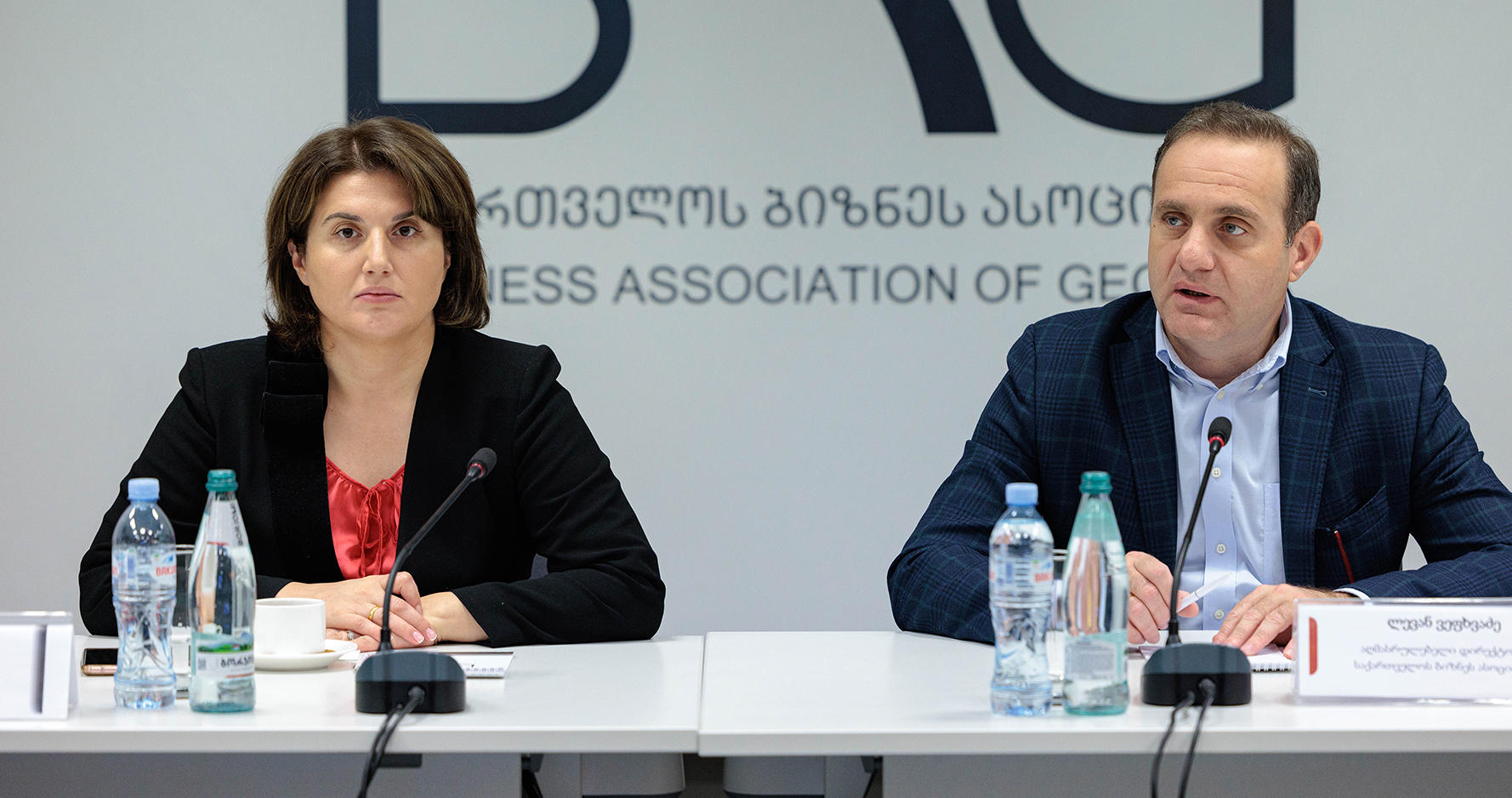 საქართველოს ბიზნეს ასოციაციაში შრომის ბაზრის ახალი სარეგისტრაციო სისტემის პრეზენტაცია გაიმართა