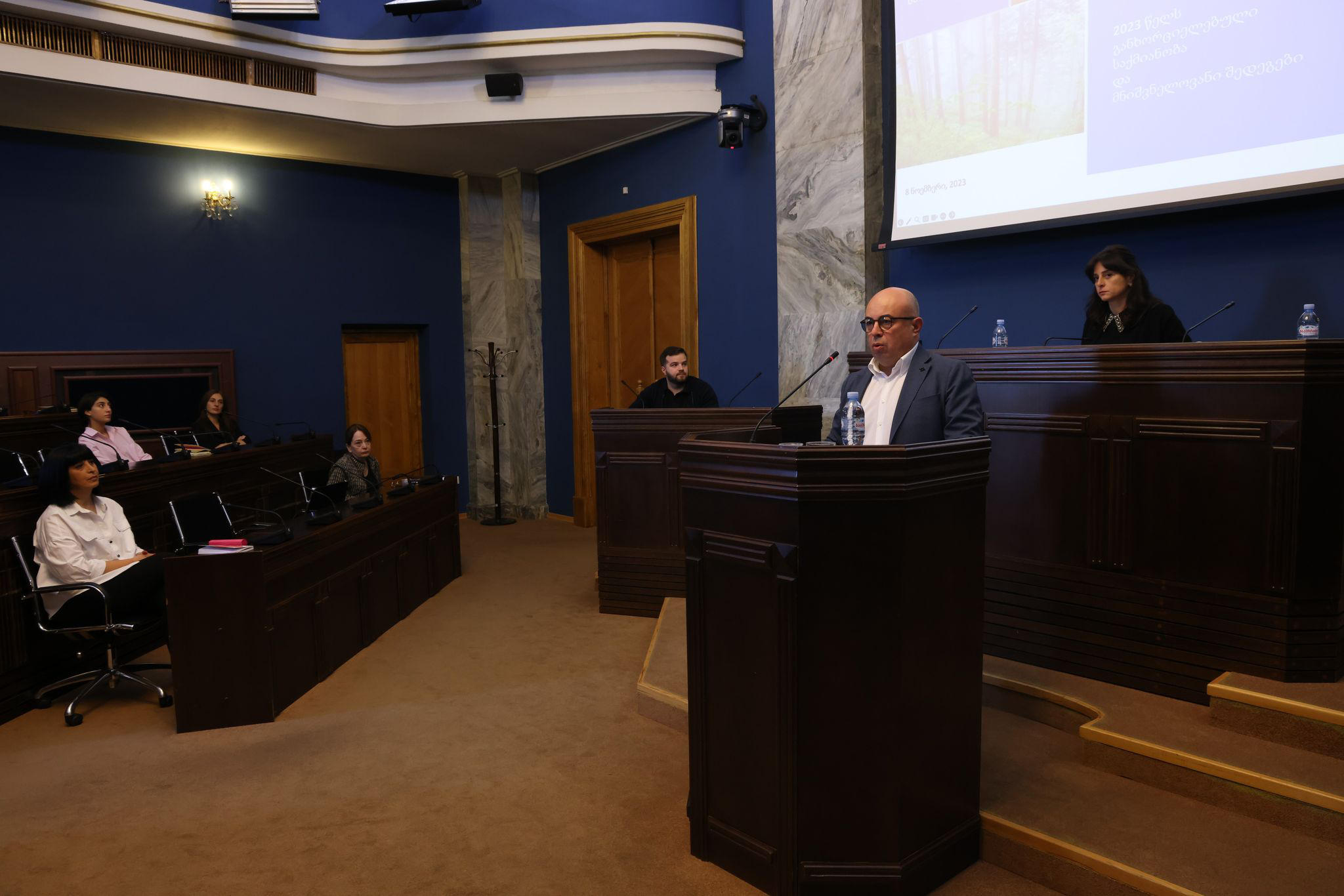 გარემოს დაცვისა და სოფლის მეურნეობის მინისტრის მოადგილემ პარლამენტს ეროვნული სატყეო სააგენტოს 2023 წლის საქმიანობის ანგარიში წარუდგინა