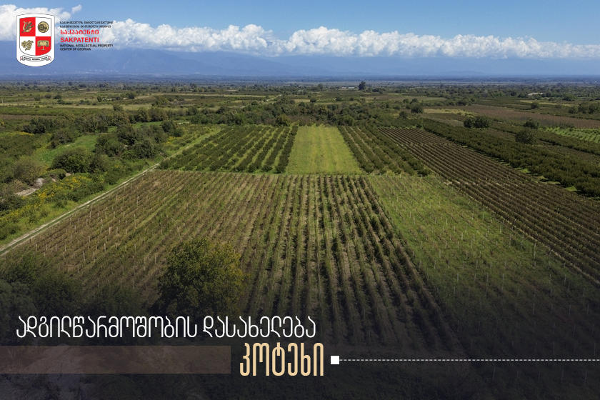 „საქპატენტი“ საქართველოს გეოგრაფიული აღნიშვნებისა და ადგილწარმოშობის დასახელებების შესახებ კამპანიას აგრძელებს და  „კოტეხის“ შესახებ ინფორმაციას ავრცელებს