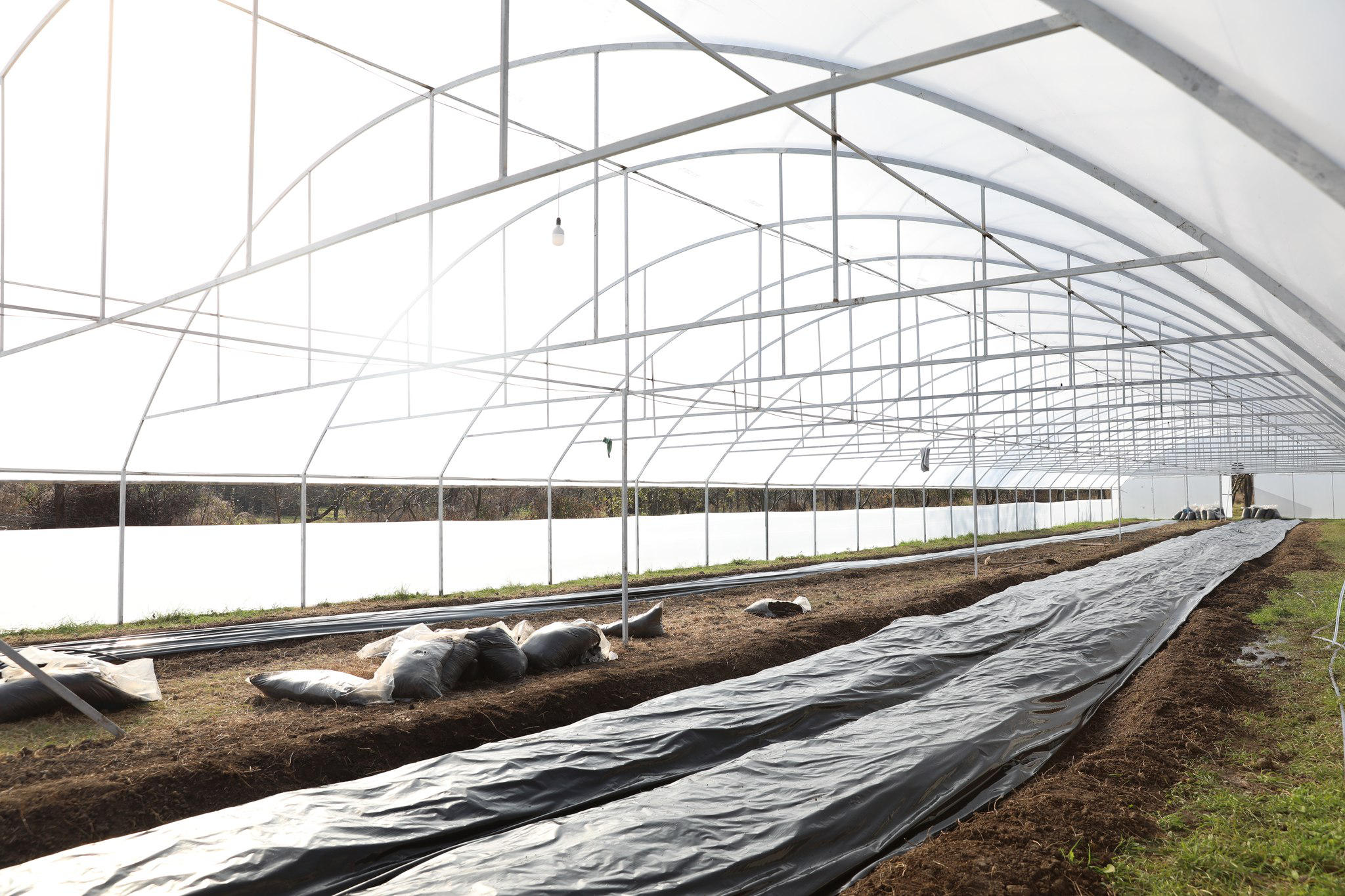 საოკუპაციო ხაზთან მდებარე სოფელ ნიქოზში, ინოვაციური სასათბურე პროექტი „მეურნეობა“ გაიხსნა