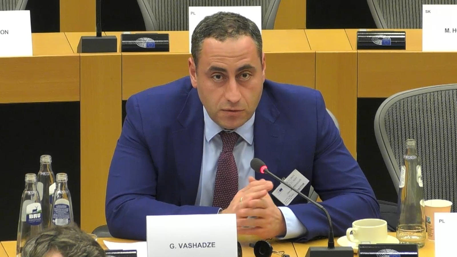 გიორგი ვაშაძე - საქართველოს ენერგეტიკული დამოკიდებულება რუსეთზე გაზრდილია, ძალიან მნიშვნელოვანია აღმოსავლეთ პარტნიორობის ქვეყნებისათვის დახმარების აღმოჩენა