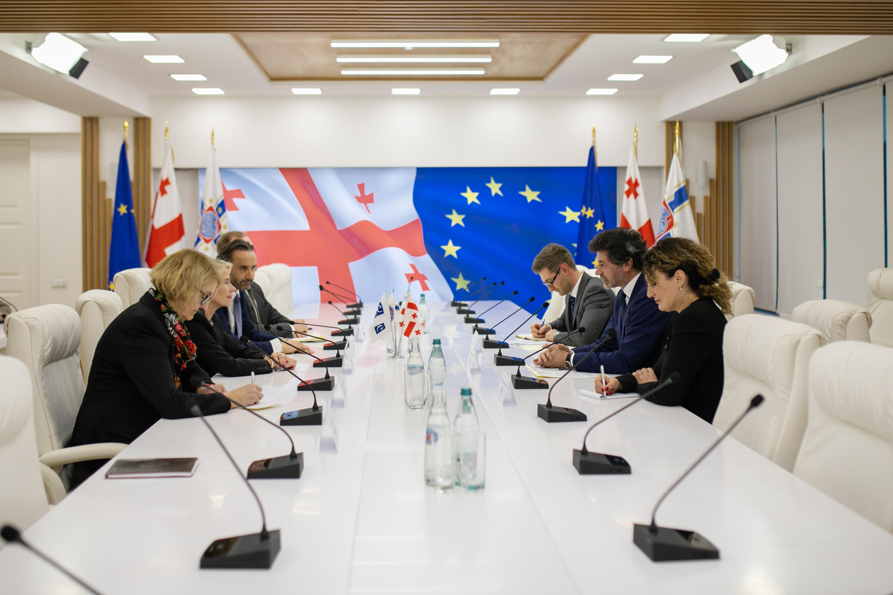 თბილისის მერი ეუთოს საპარლამენტო ასამბლეის პრეზიდენტს შეხვდა