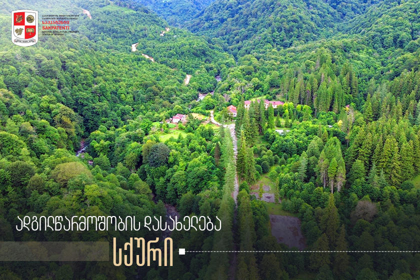 გეოგრაფიული აღნიშვნა „სქური“ „საქპატენტში“ არის რეგისტრირებული