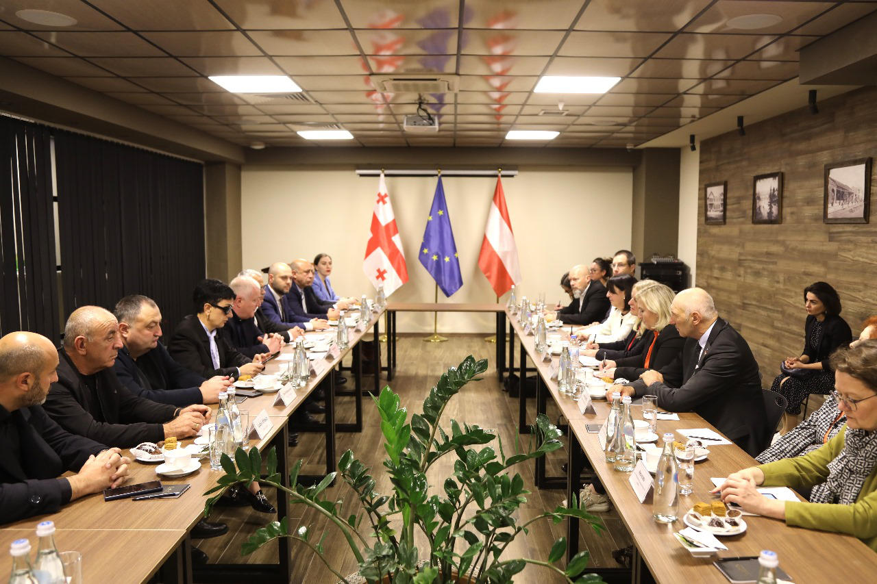 ავსტრიის პარლამენტის ფედერალური საბჭოს პრეზიდენტი სახელმწიფო რწმუნებულს და ზუგდიდის მერს შეხვდა