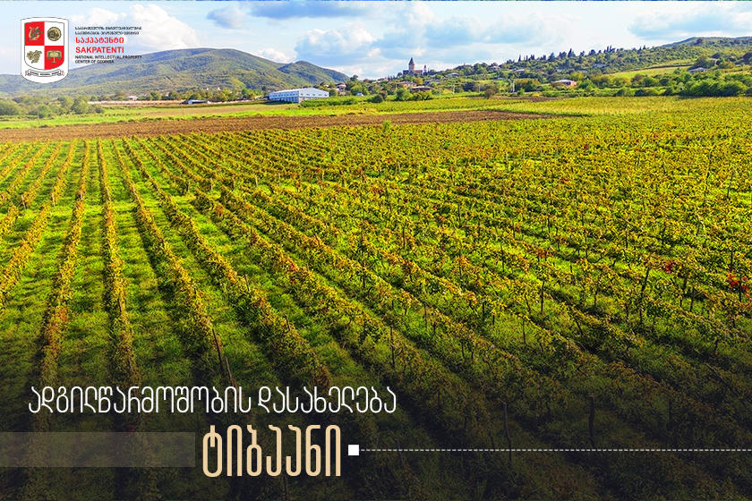 გეოგრაფიული აღნიშვნა „ტიბაანი“ „საქპატენტში“ არის რეგისტრირებული