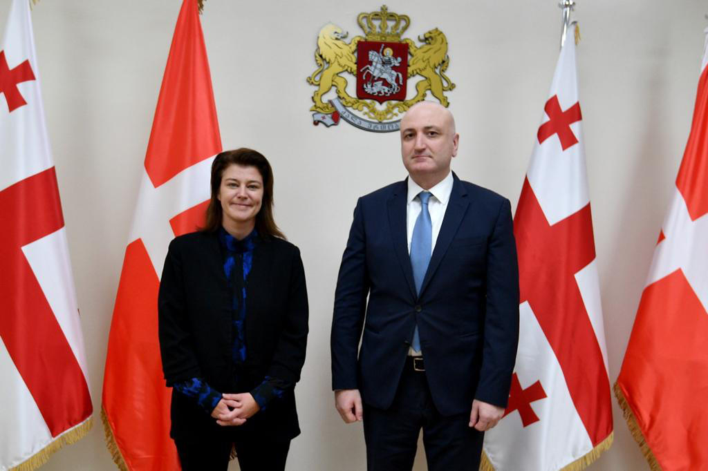 ზურაბ აზარაშვილი დანიის ელჩს შეხვდა