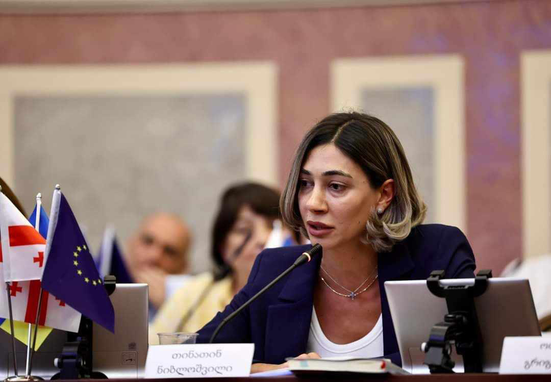 თინათინ ნიბლოშვილი - მრავალგვერდიანი ბიუჯეტის წაკითხვას ოპოზიციას ერთი წინადადების დამახსოვრება და ყოველ წელს მისი გამეორება ურჩევნია