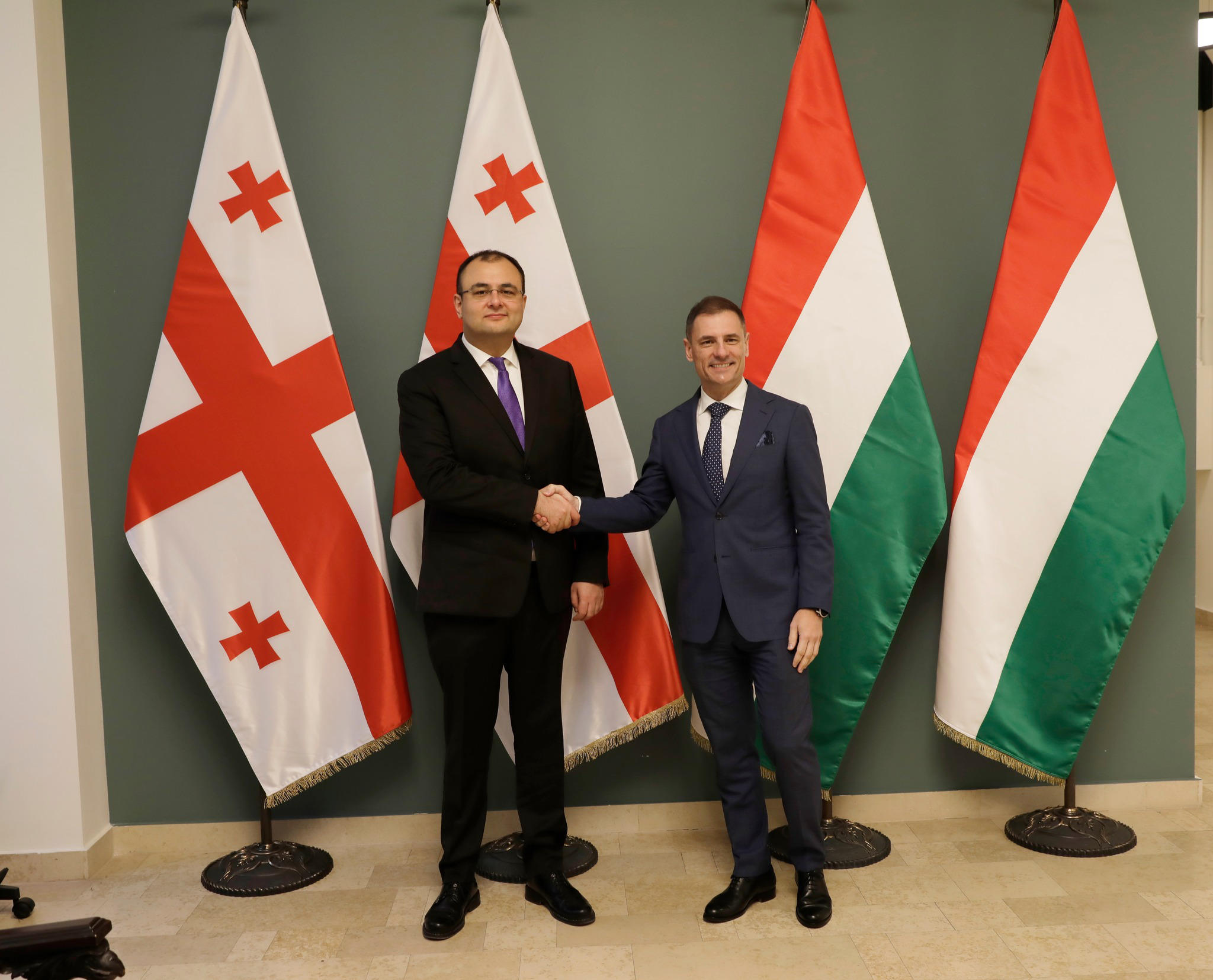 საქართველოსა და უნგრეთის იუსტიციის მინისტრებმა თანამშრომლობის კონკრეტული ინიციატივები განიხილეს