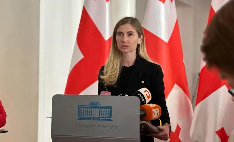 თინა ბოკუჩავა - მთავრობის მიერ გამოქვეყნებული დოკუმენტი ფარატინა ქაღალდია