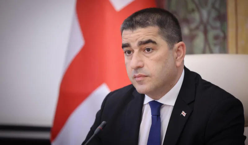 შალვა პაპუაშვილი „ლელოს“ - წელიწად ნახევარია საქართველოს პოლიტიკა არის ის, რომ სანქციებს არ ვაწესებთ, ახლა გაიგეთ? ამ რეზოლუციის დაინიცირება გჭირდებოდათ, ეს რომ გაგეგოთ?