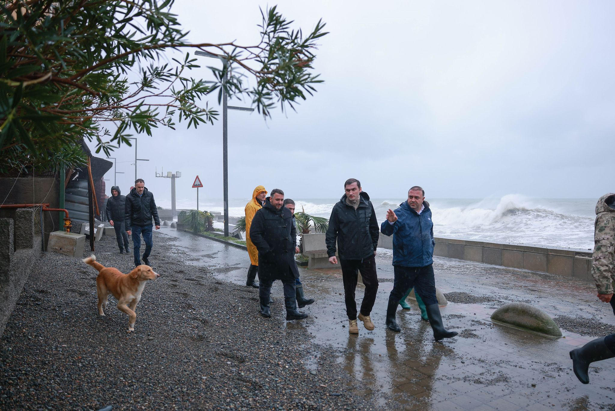 თორნიკე რიჟვაძემ ქობულეთში შტორმის შედეგად დაზიანებული სანაპირო ზოლი დაათვალიერა და სტიქიის სალიკვიდაციო სამუშაოებს გაეცნო