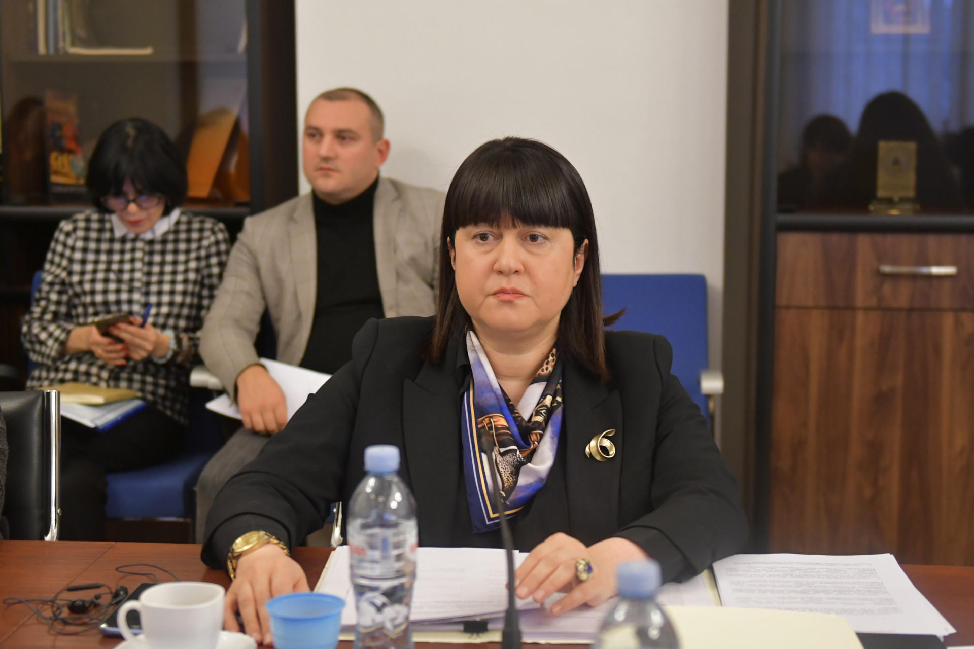 კანონით დამკვიდრდება ახალი, გენდერულად ნეიტრალური ტერმინი - დამოუკიდებელი „მეანი-ექთანი", რომლითაც „ბებიაქალის" წოდება ჩანაცვლდება