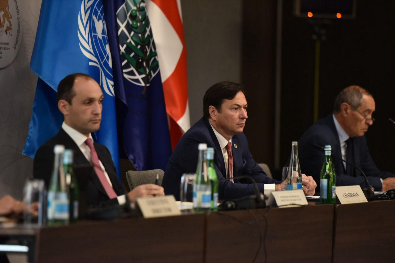 26 ნოემბერს „ზეთისხილის მსოფლიო დღე“ აღინიშნა