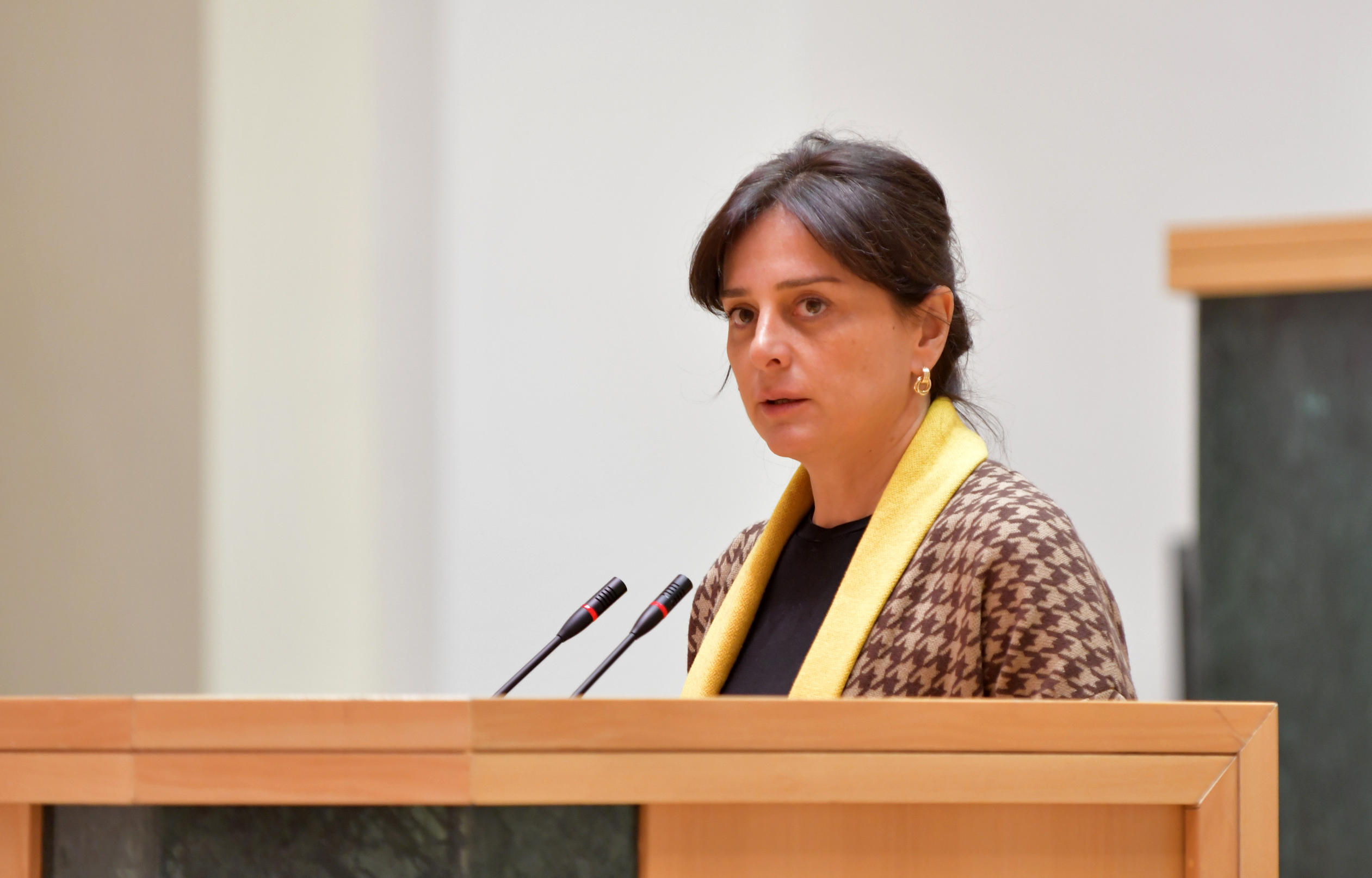 პარლამენტმა „ბუნებრივი რესურსებით სარგებლობისათვის მოსაკრებლების შესახებ" კანონში ცვლილება პირველი მოსმენით მიიღო