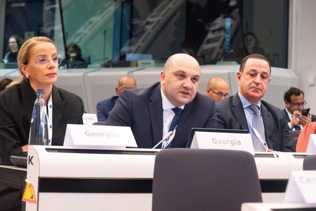 შინაგან საქმეთა მინისტრის მოადგილემ საერთაშორისო კონფერენციაში „გლობალური ალიანსი მიგრანტთა უკანონო გადაყვანის წინააღმდეგ ბრძოლა“ მიიღო მონაწილეობა