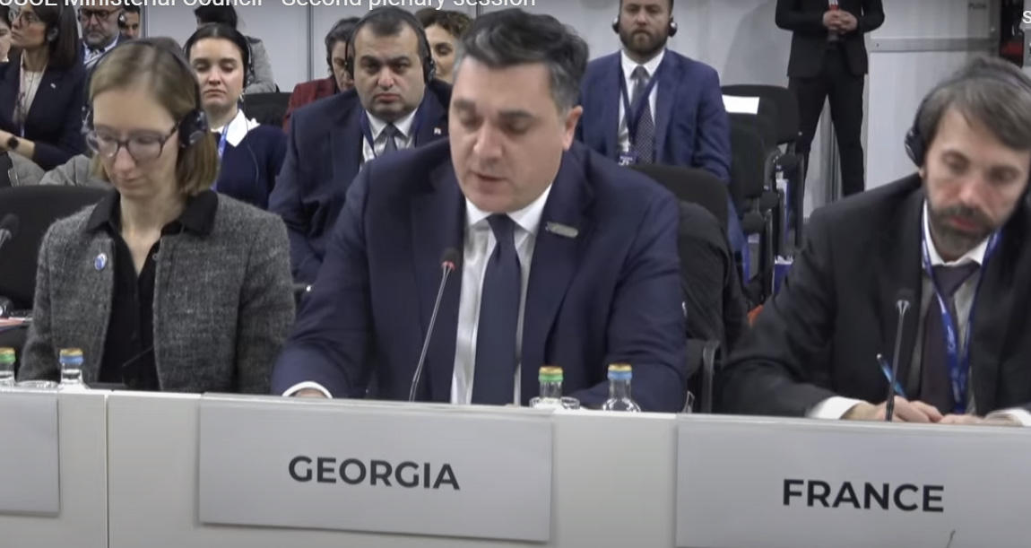 ილია დარჩიაშვილი - რუსეთის სრულმასშტაბიანმა სამხედრო აგრესიამ ჩემი ქვეყნის წინააღმდეგ 2008 წელს, 2014 წელს უკრაინული ყირიმის ანექსიამ და უკრაინის წინააღმდეგ მიმდინარე აგრესიამ საფრთხე შეუქმნა წესებზე დაფუძნებულ საერთაშორისო წესრიგს