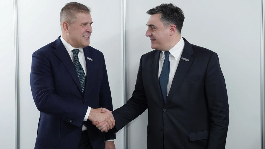 საქართველოს საგარეო საქმეთა მინისტრი ისლანდიელ კოლეგას შეხვდა