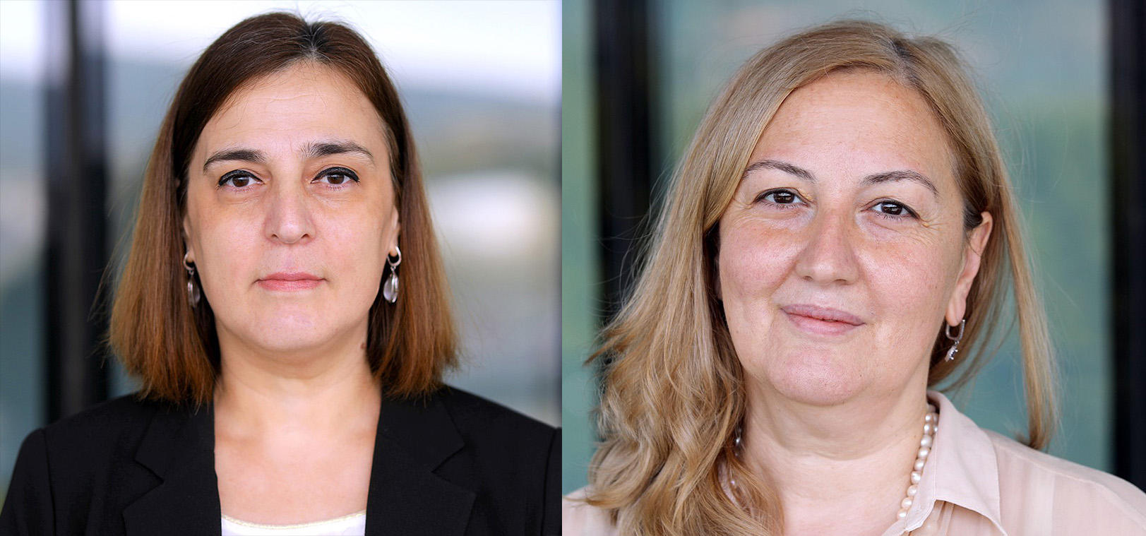 ეროვნული ბანკის საბჭომ სებ-ის ვიცე-პრეზიდენტებად ეკატერინე მიქაბაძისა და ეკატერინე გალდავას კანდიდატურებს მხარი დაუჭირა