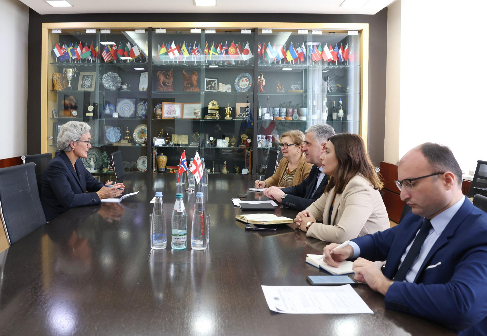 ოთარ შამუგია საქართველოში ნორვეგიის სამეფოს საგანგებო და სრულუფლებიან ელჩს შეხვდა