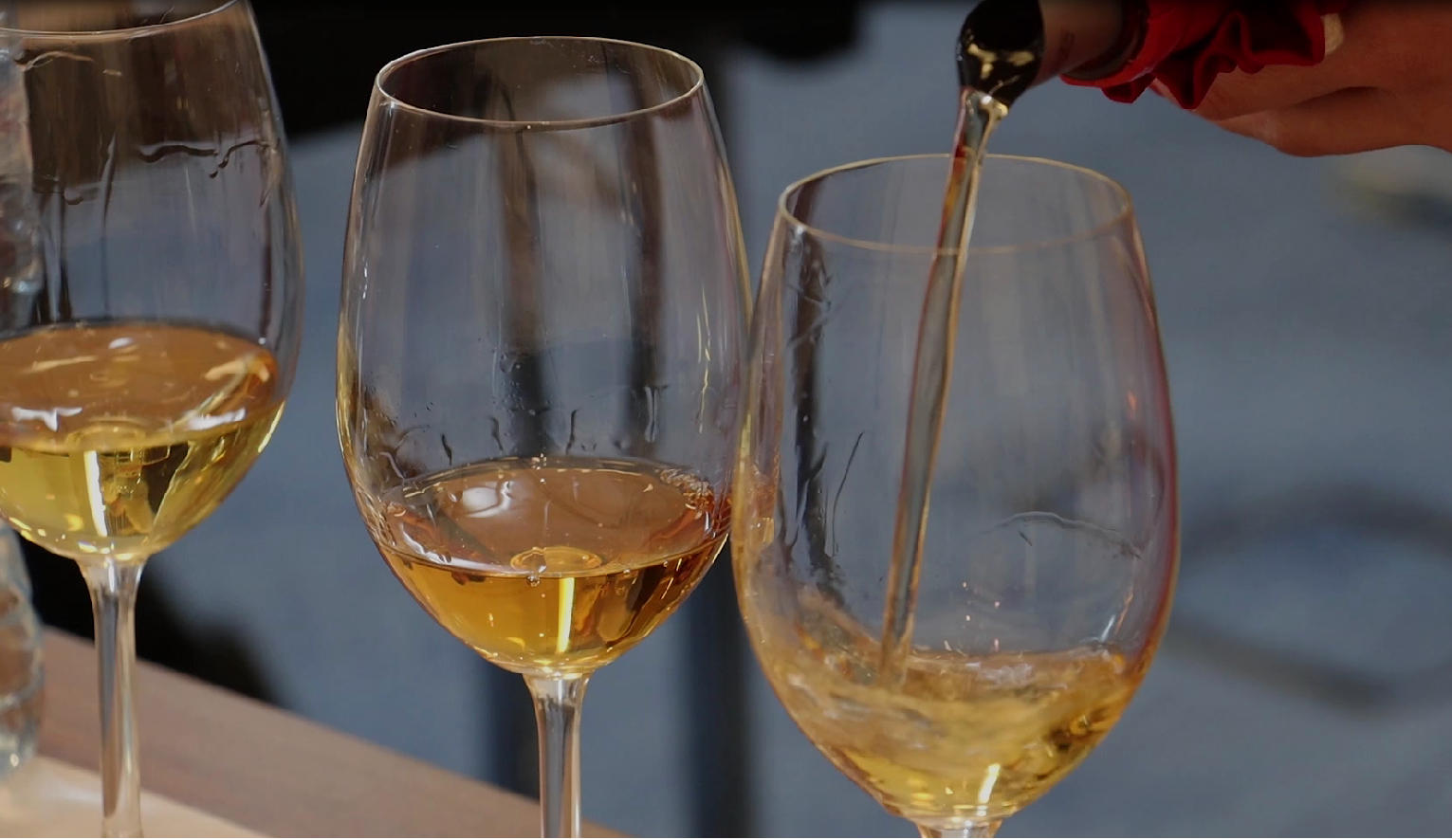 საქართველოში ქვევრის ღვინის საერთაშორისო კონკურსი იმართება