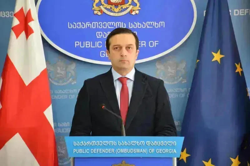 Levan Ioseliani: The President has the right to enter everywhere and talk to everyone