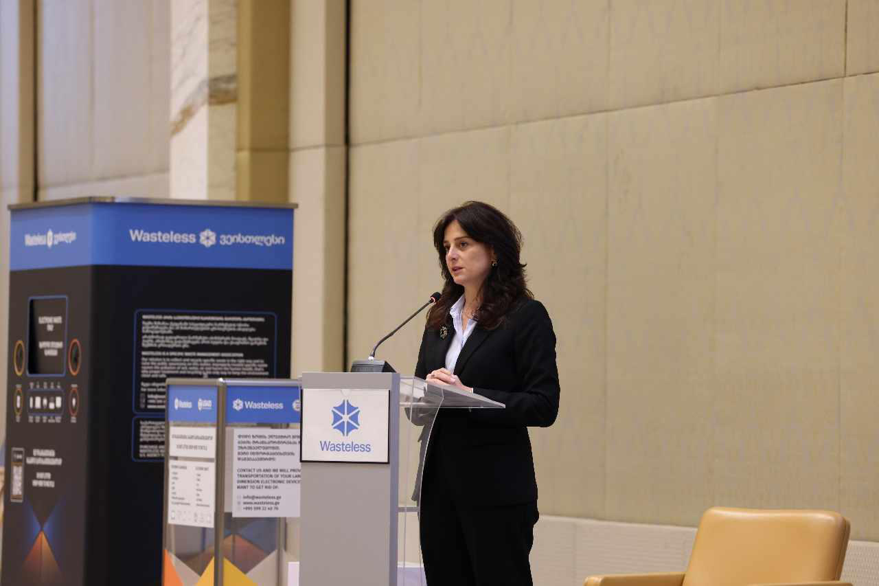 მაია ბითაძე ელექტრო ნარჩენების შეგროვების და მართვის სისტემის დანერგვასთან დაკავშირებულ შეხვედრაში მონაწილეობდა