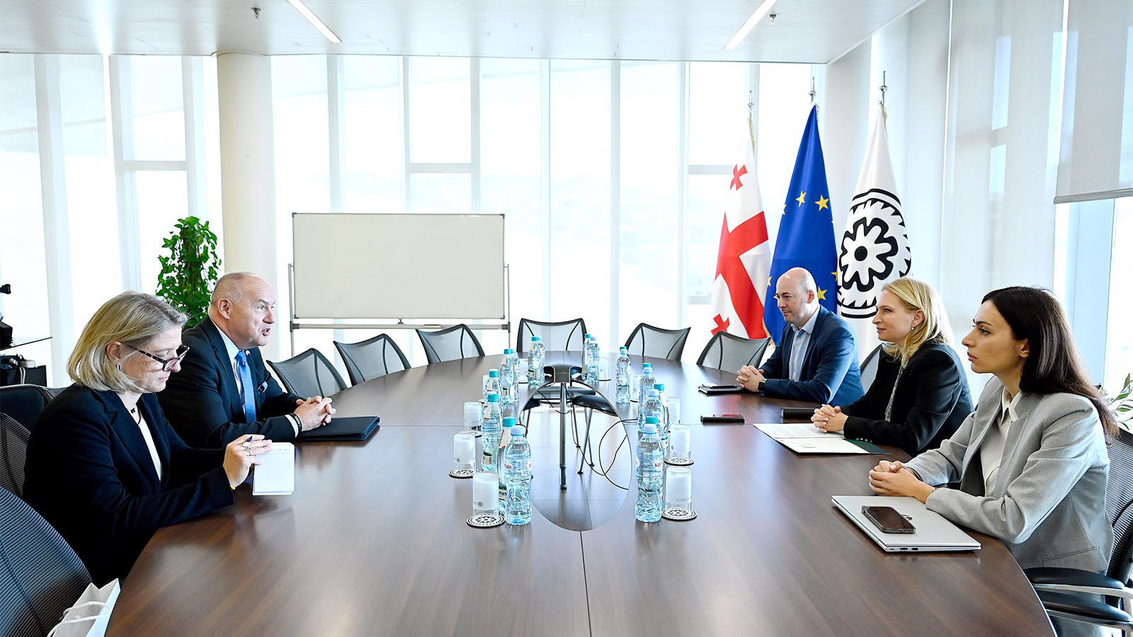 ნათია თურნავა საქართველოში ჩეხეთის რესპუბლიკის საგანგებო და სრულუფლებიან ელჩს  შეხვდა