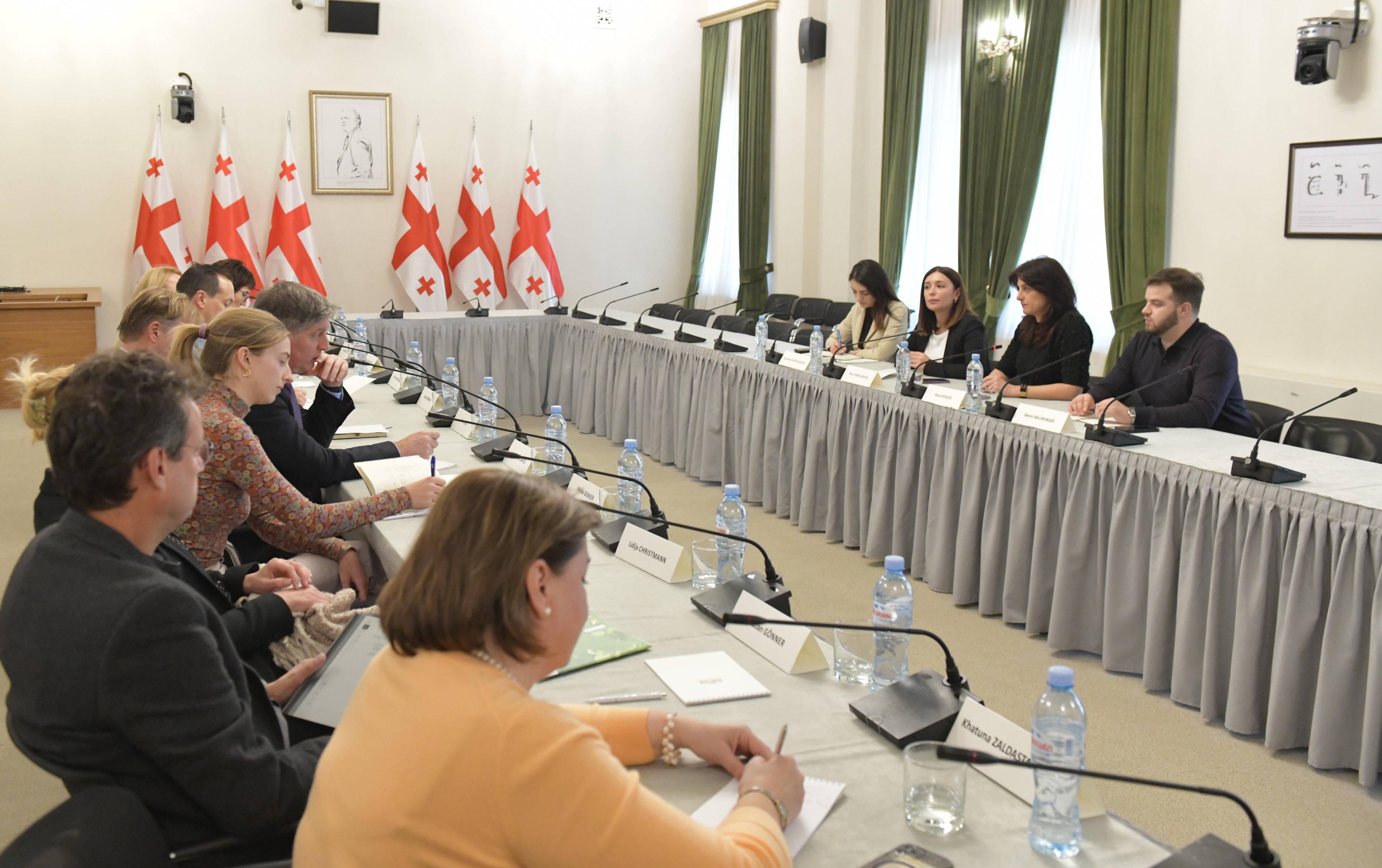 მაია ბითაძე საერთაშორისო ორგანიზაციების წარმომადგენლებს შეხვდა