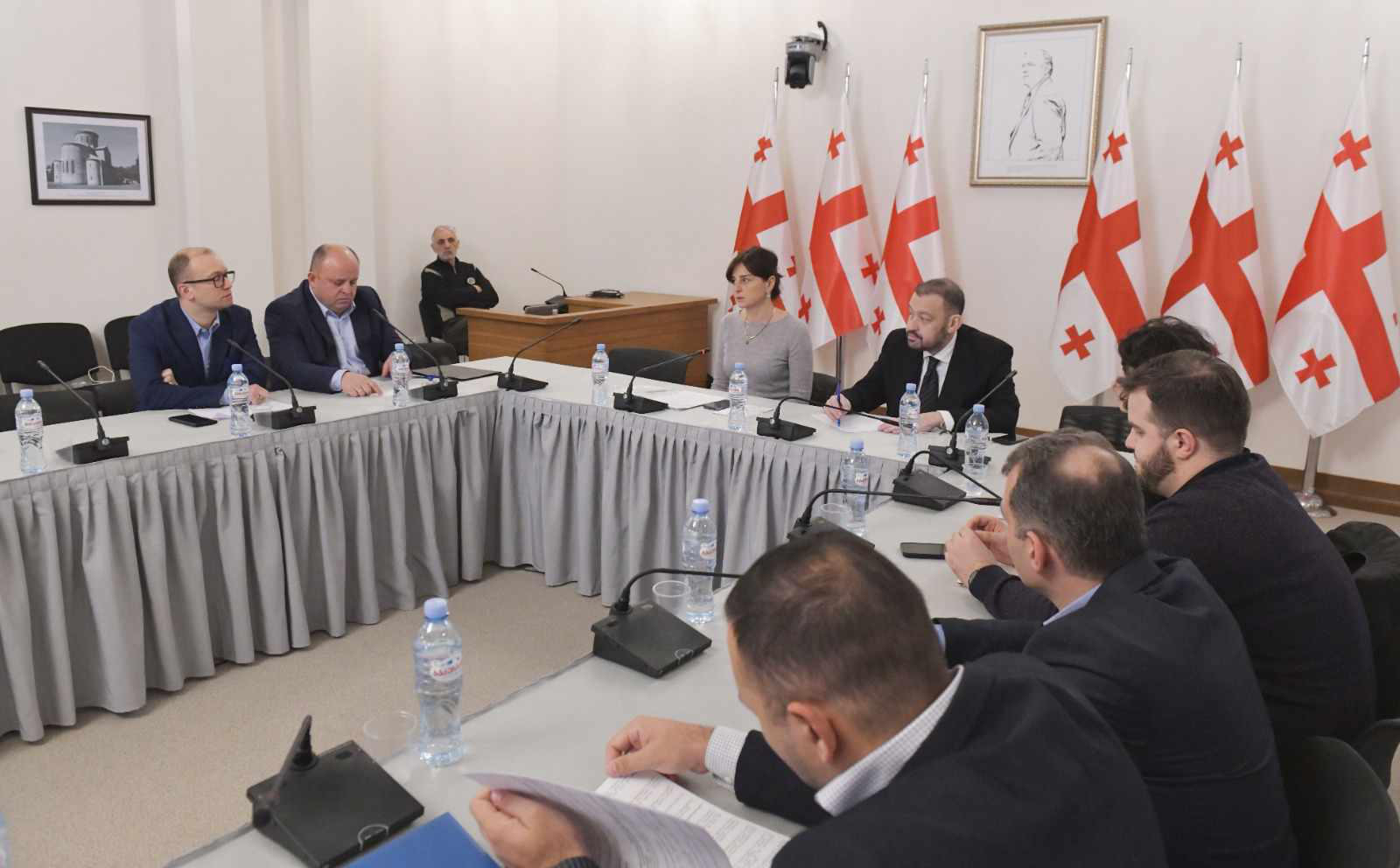 გარემოს დაცვისა და ბუნებრივი რესურსების კომიტეტში აკუსტიკური ხმაურის ნორმებთან დაკავშირებით სამუშაო შეხვედრა გაიმართა