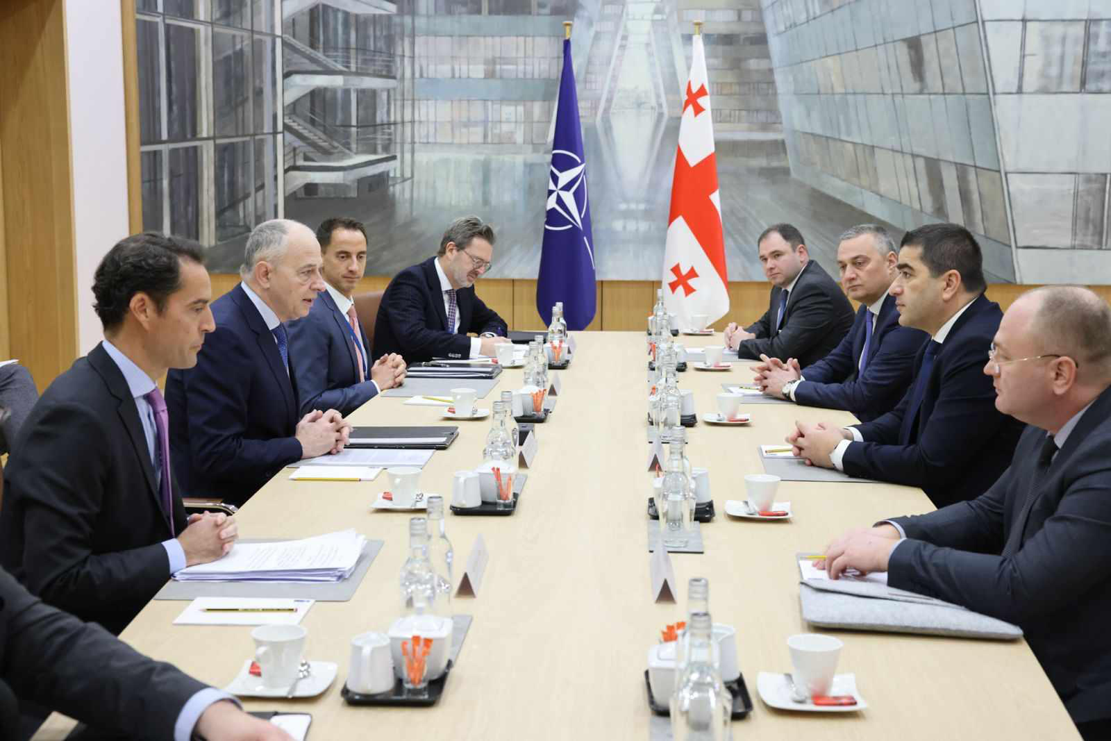 პარლამენტის თავმჯდომარე ნატო-ს გენერალური მდივნის მოადგილეს შეხვდა