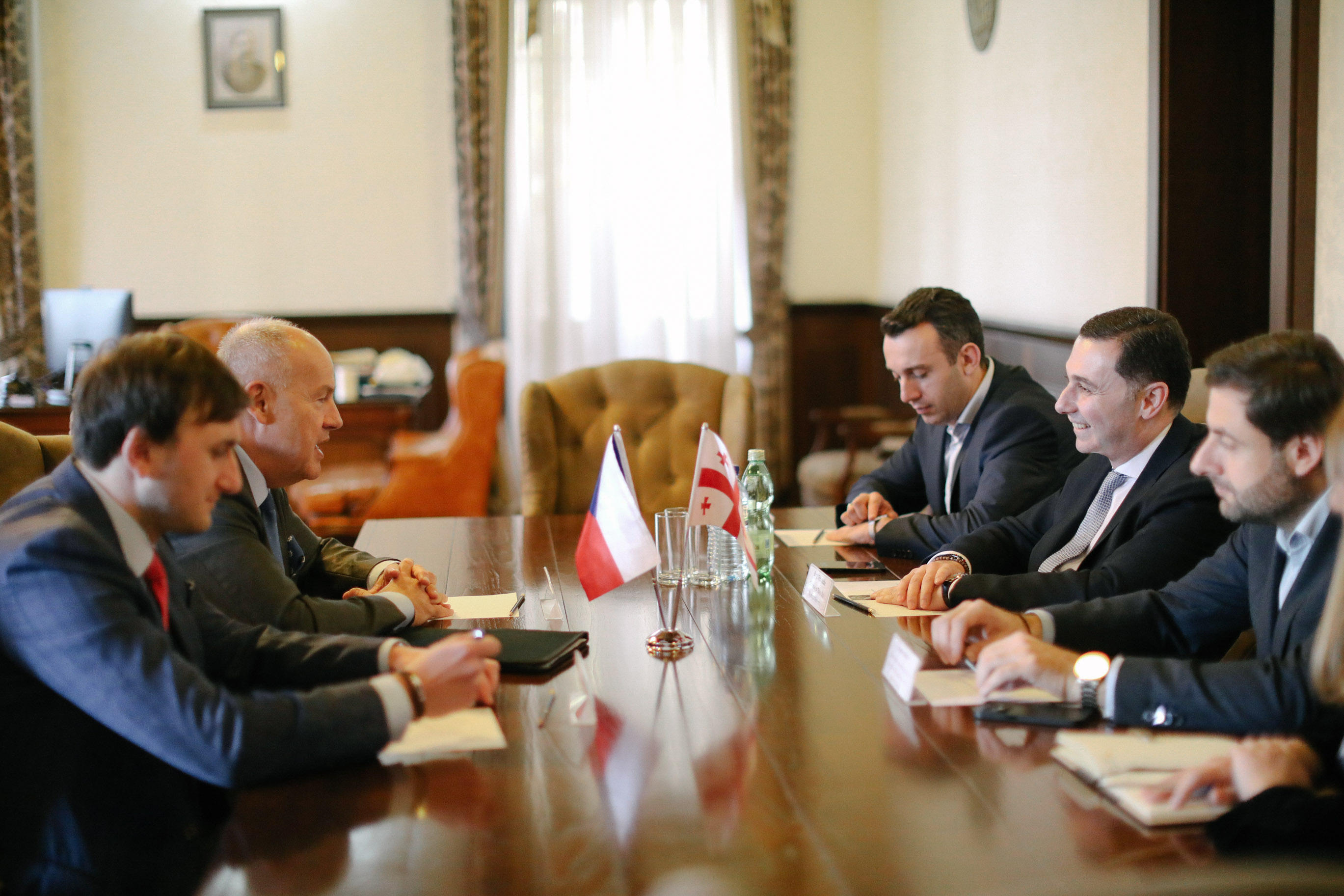 გიორგი ტყემალაძე საქართველოში ჩეხეთის ახალ ელჩს შეხვდა