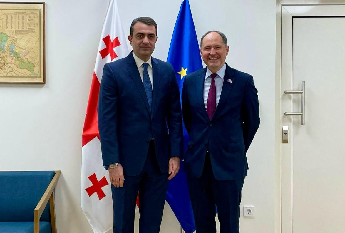 დავით ასათიანმა ევროკავშირის ელჩს მიმართვა გადასცა, რომელსაც 1000-მდე ადვოკატი აწერს ხელს