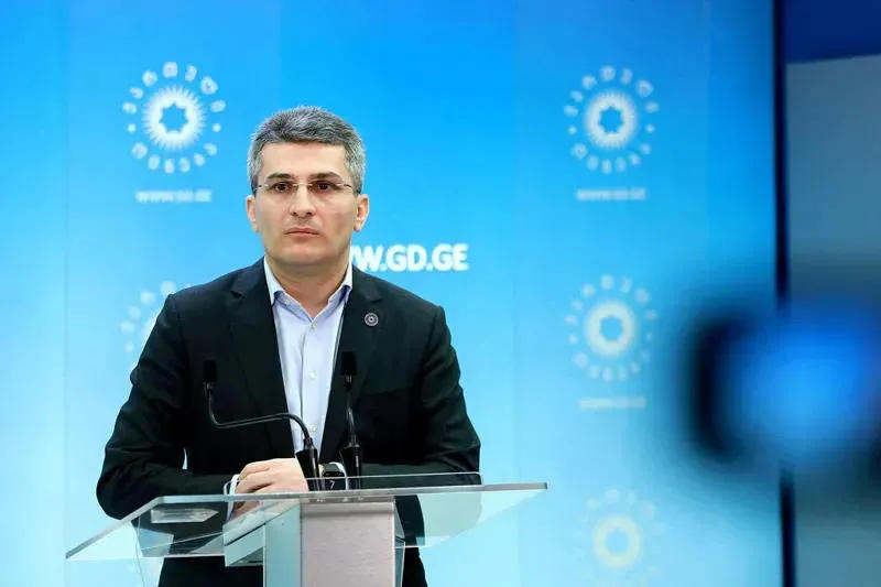 Mamuka Mdinaradze explains what what constitutional amendments "on family values" imply
