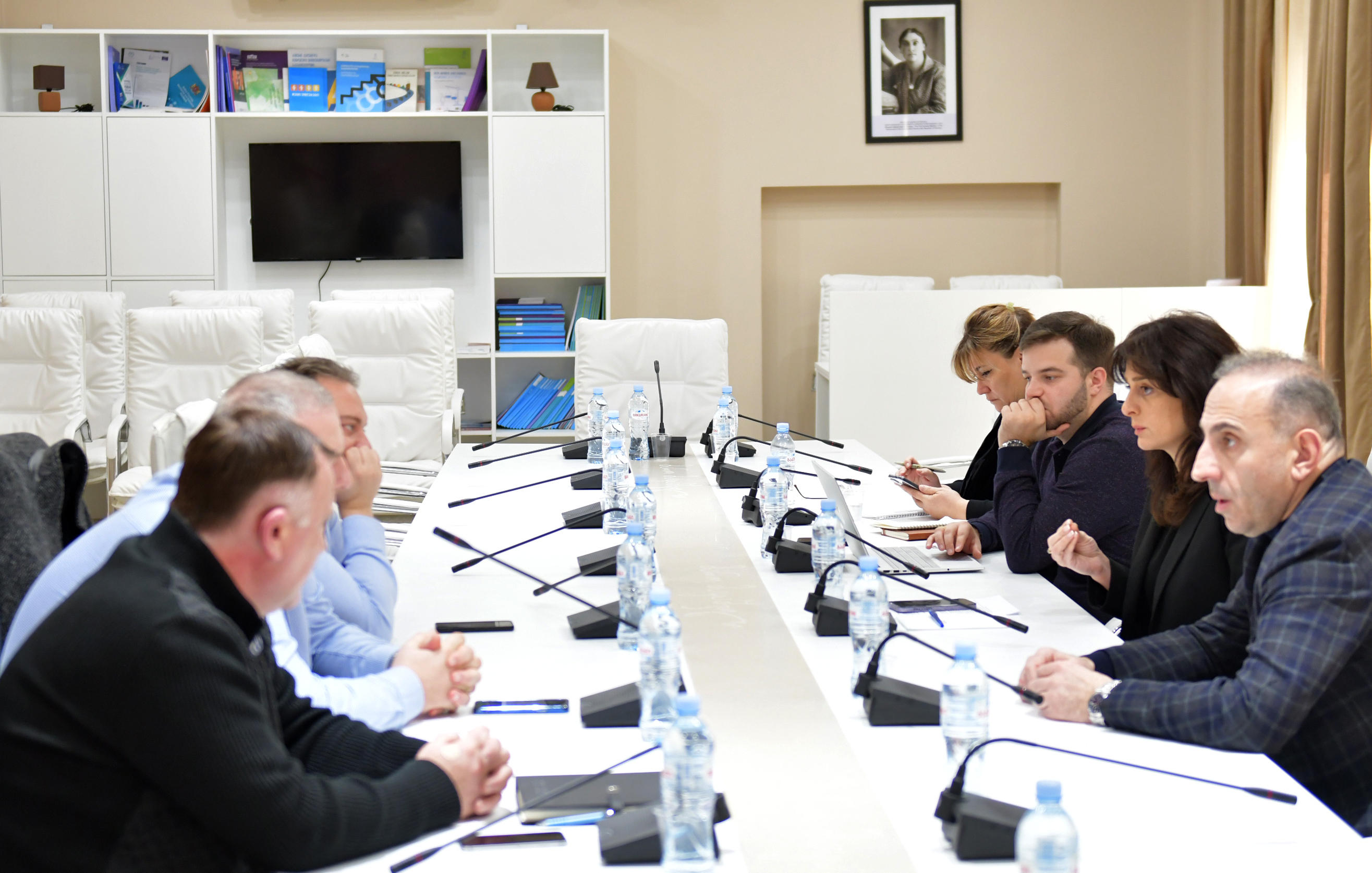 მაია ბითაძე წიაღის სააგენტოს წარმომადგენლებს შეხვდა