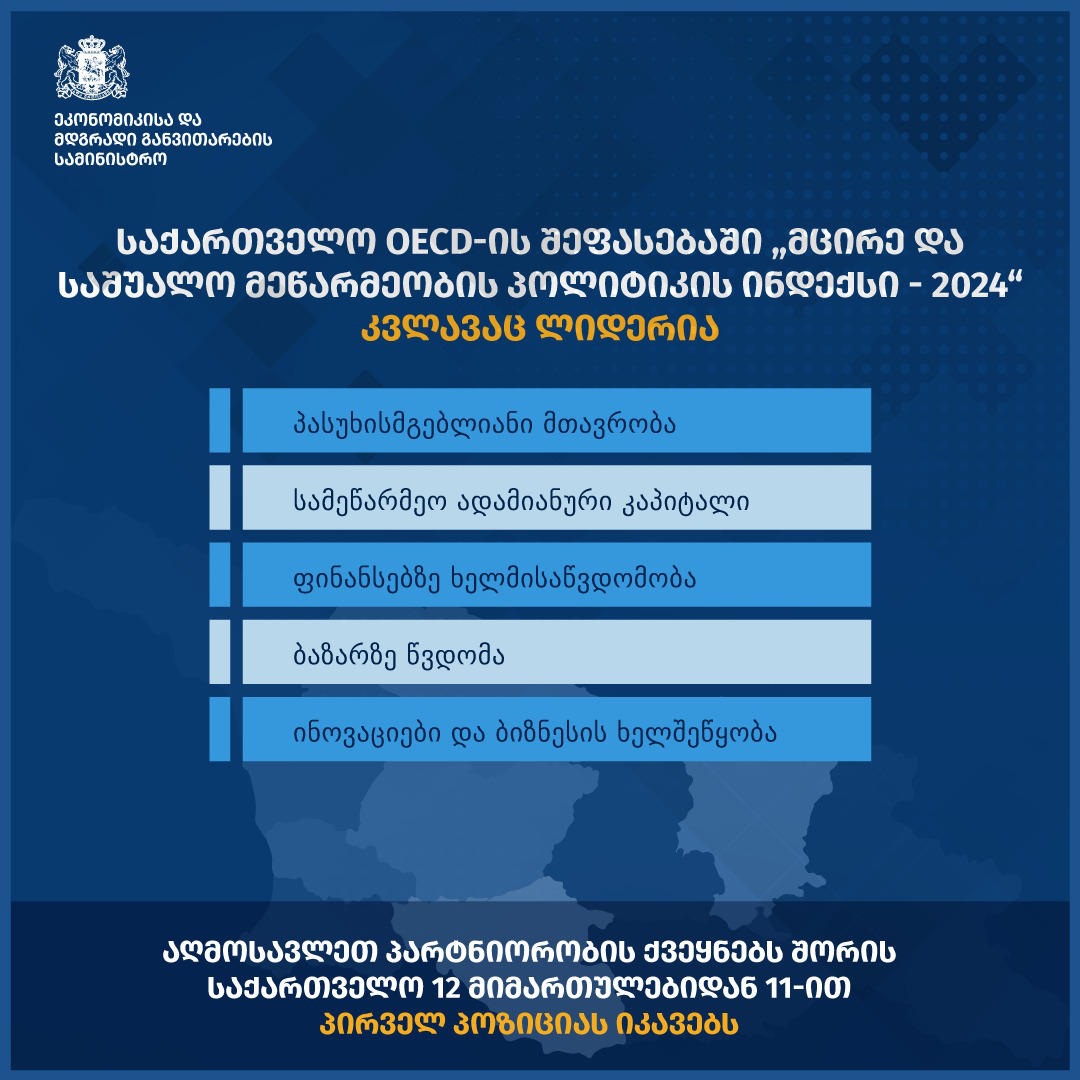 საქართველო OECD-ის შეფასებაში „მცირე და საშუალო მეწარმეობის პოლიტიკის ინდექსი - 2024" კვლავაც ლიდერია