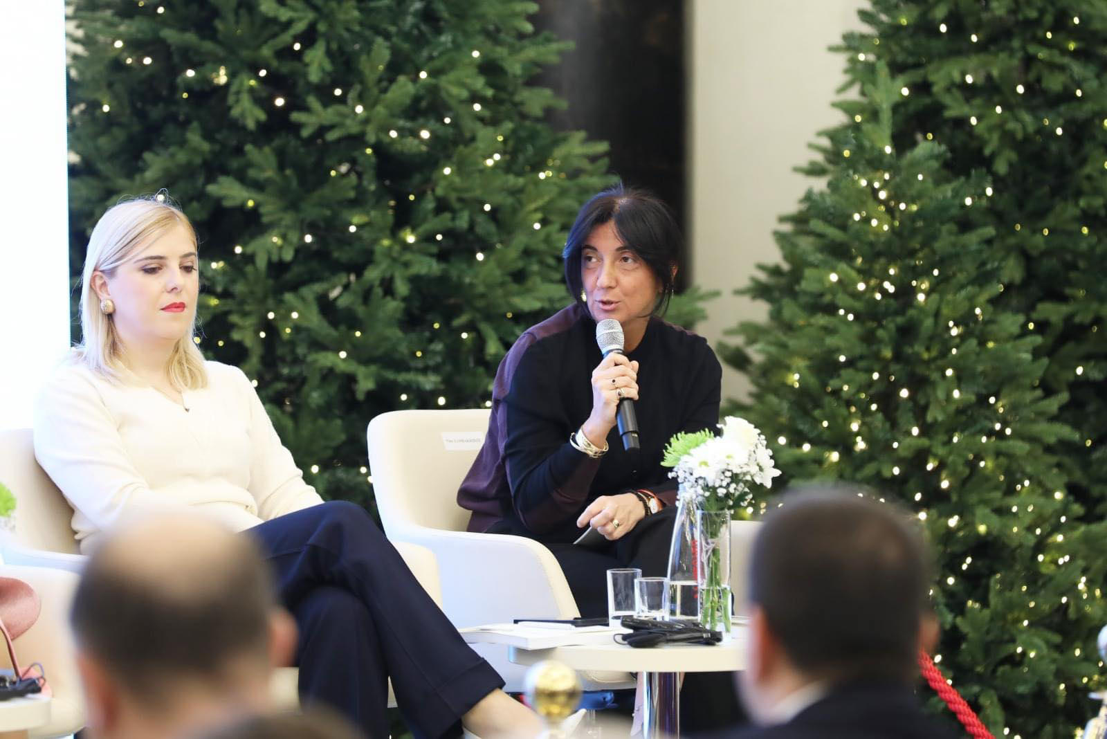 პარლამენტში პუბლიკაციის - „საქართველოს სოფლის მეურნეობა: ტრანსფორმაცია და ბოლო ათწლეულის განვითარების ტენდენციები“ პრეზენტაცია გაიმართა.