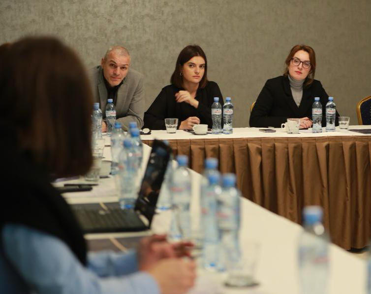 მაია ომიაძე დანიშნულების ადგილის მართვის ორგანიზაციების წარმომადგენლებს შეხვდა