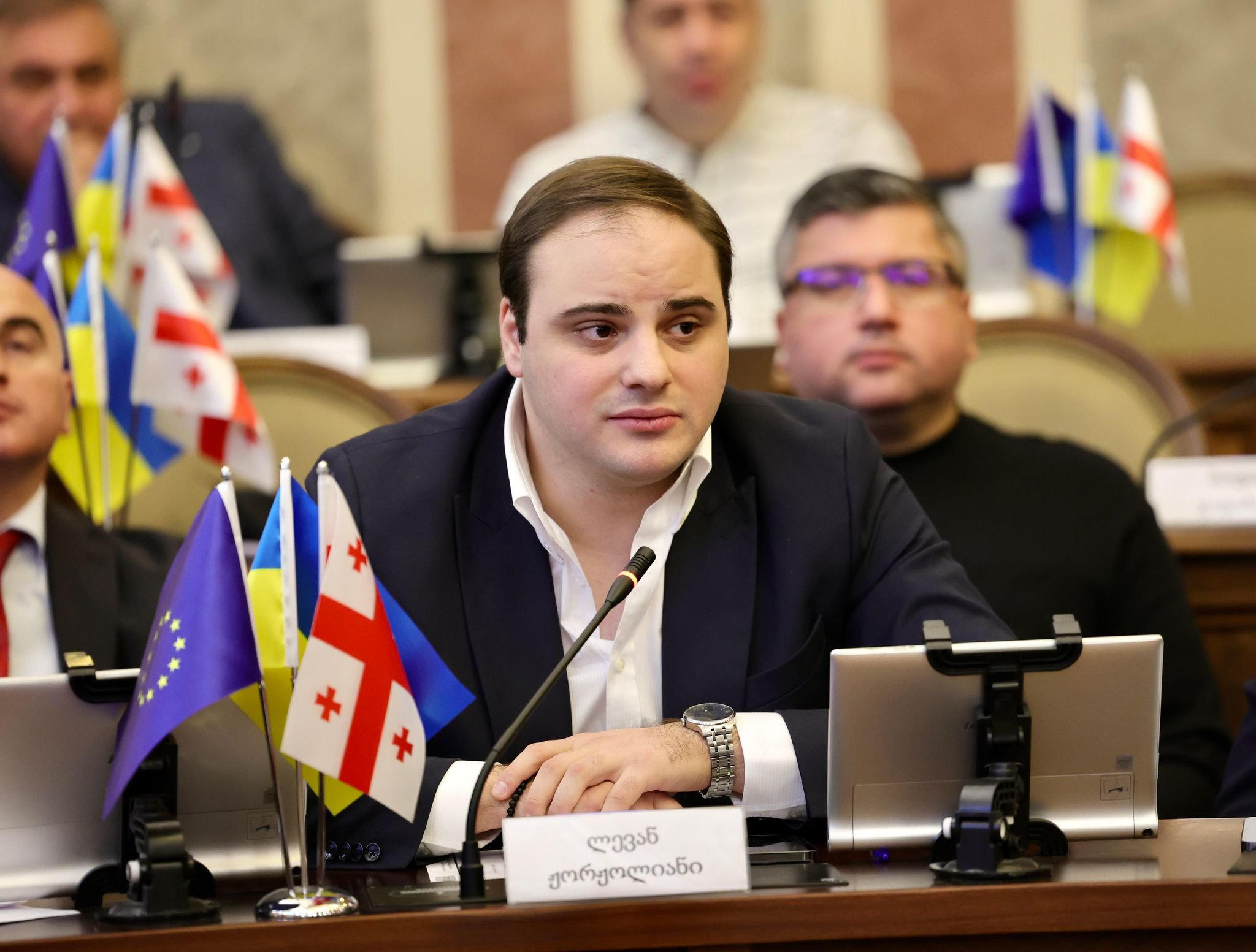 ლევან ჟორჟოლიანი ოპოზიციას - საქართველოს მოქალაქეებს მოუხადეთ ბოდიში, რომ ერთი  პატიმრის ჯანმრთელობას უკავშირებდით მთელი ქვეყნის ევროინტეგრაციას
