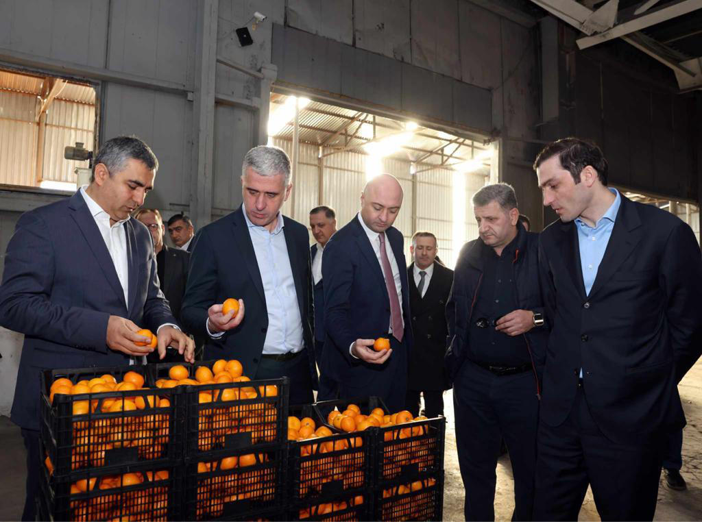 ოთარ შამუგია - ციტრუსის დაბინავების პროცესი აქტიურად და შეუფერხებლად მიმდინარეობს - ვფიქრობ, რომ სეზონი იქნება ძალიან წარმატებული ჩვენი ფერმერებისთვის