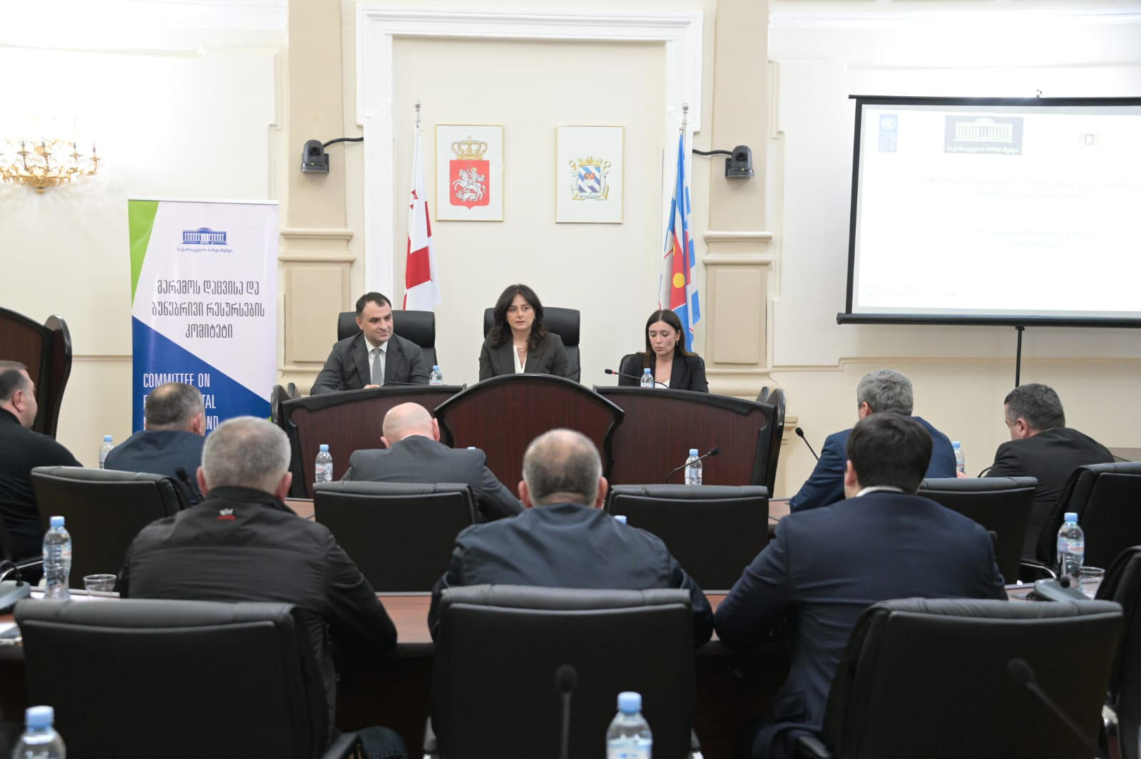 მაია ბითაძემ  გამწვანების პროექტის განხორციელების საკითხებზე აჭარაში შეხვედრა გამართა