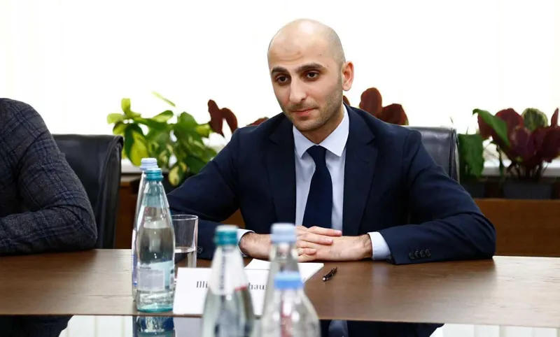 Former Deputy Health Minister Ilia Ghudushauri arrested