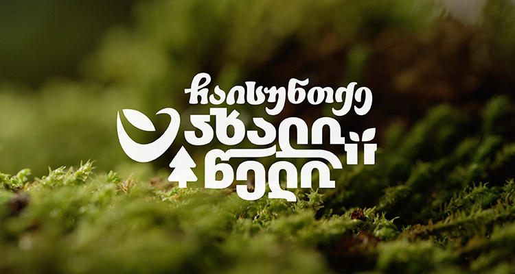 ჩაისუნთქე ახალი წელი - განსაკუთრებული საახალწლო ხე „ტერაბანკისგან“